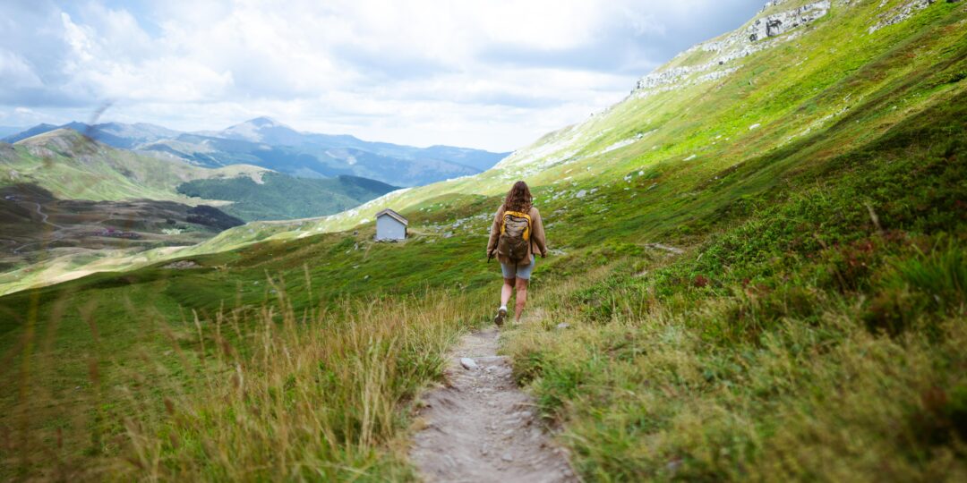 bruno-van-der-kraan-Ck-WdRpcdFo-unsplash