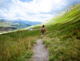 bruno-van-der-kraan-Ck-WdRpcdFo-unsplash