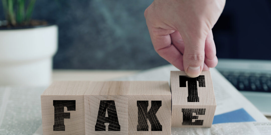 FAKE or FAKT, German for fact, on wooden blocks on newspaper