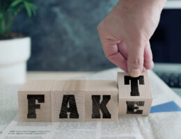 FAKE or FAKT, German for fact, on wooden blocks on newspaper